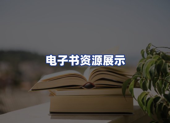 电子书资源展示